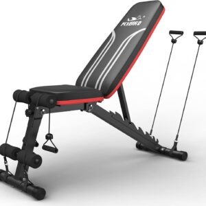 FLYBIRD Adjustable Bench